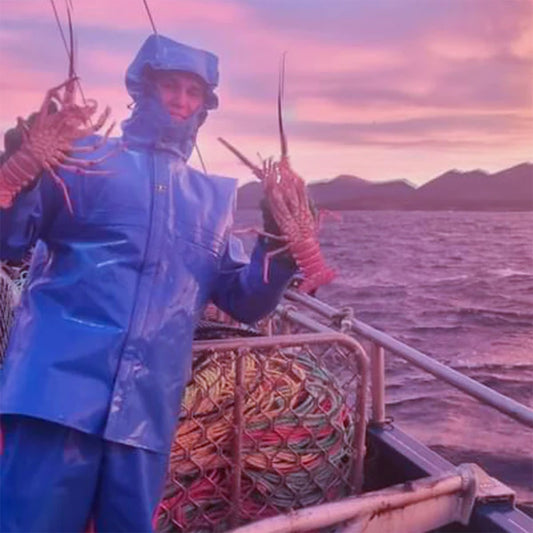 Person in blue Guy Cotten Heracles raincoat holding lobsters on a boat with a pink and purple sky